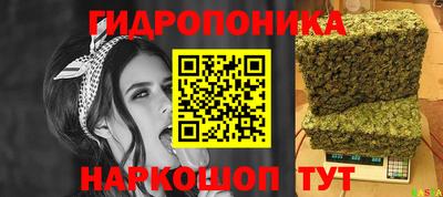 PSILOCYBIN Северобайкальск