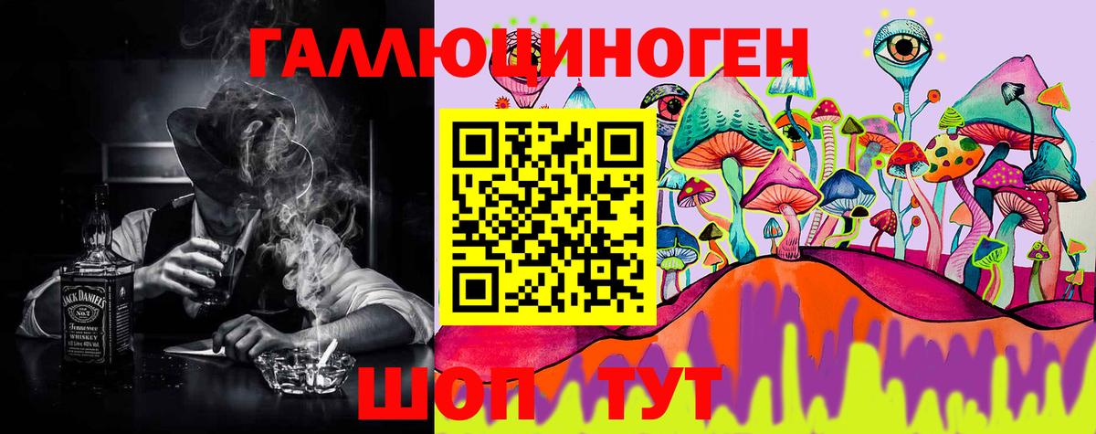 Псилоцибиновые грибы Psilocybe  Вход с VPN  Светлоград 